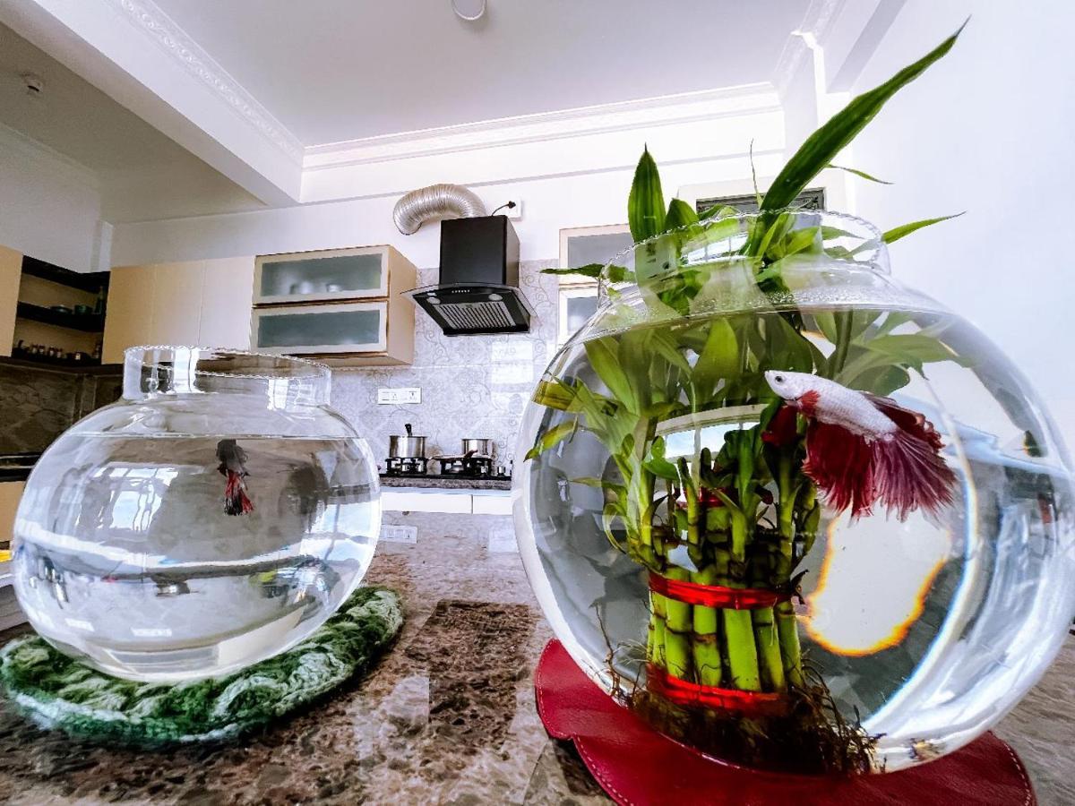 Rvr Abode -Private Rooms Bangalore Ngoại thất bức ảnh